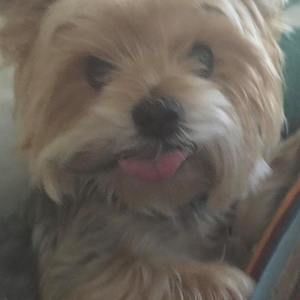 Meet your Posher, Maribel